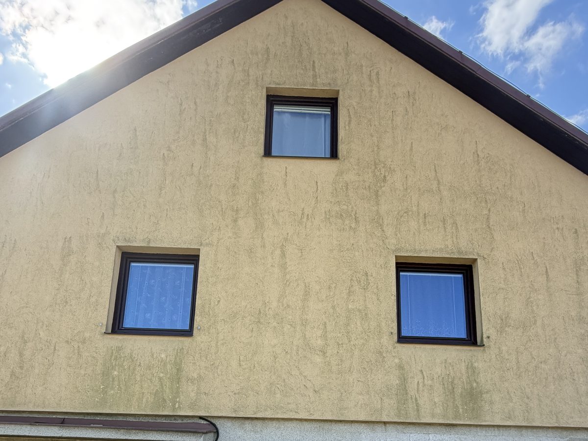 Fasáda se zelenými řasami před čištěním