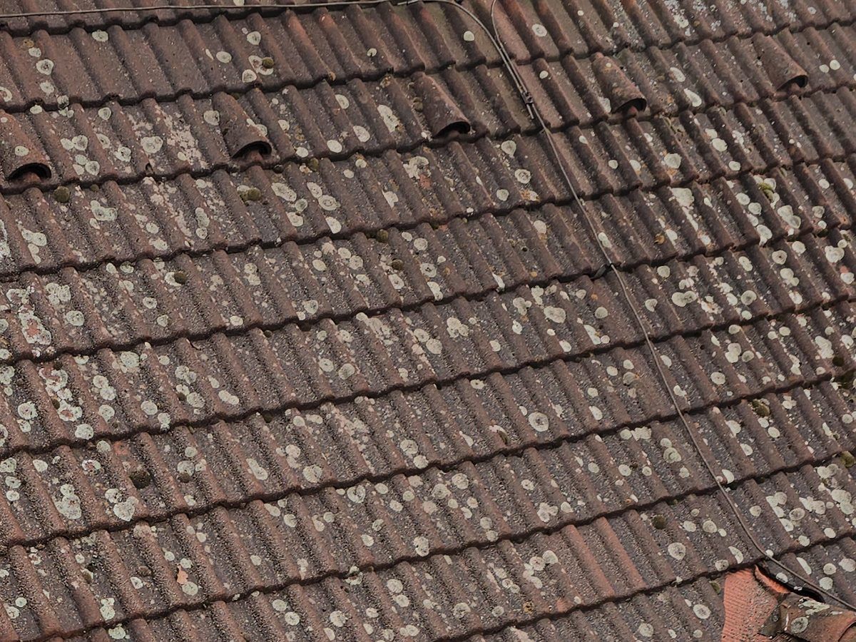 Střecha a fasáda domu — před čištěním