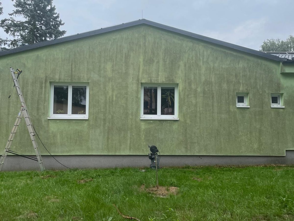 Zelená fasáda bungalovu zašedlá řasami před čištěním