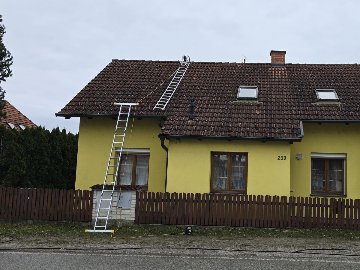Střecha s mechem před čištěním