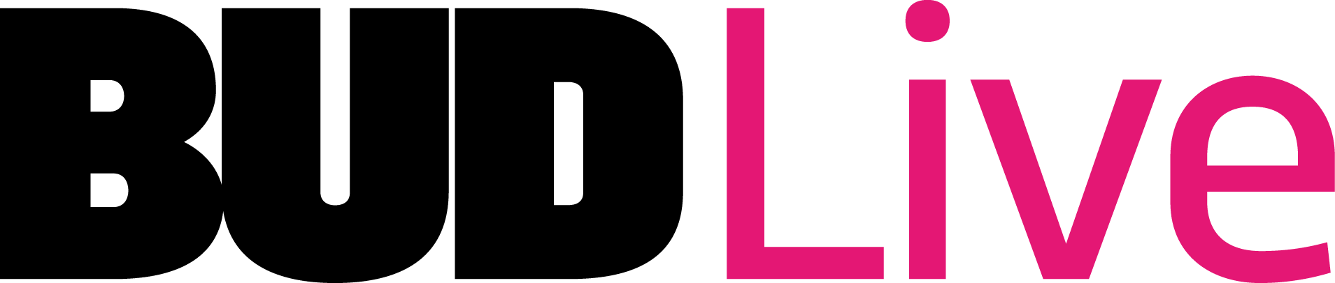 BUDLive — českobudějovický magazín