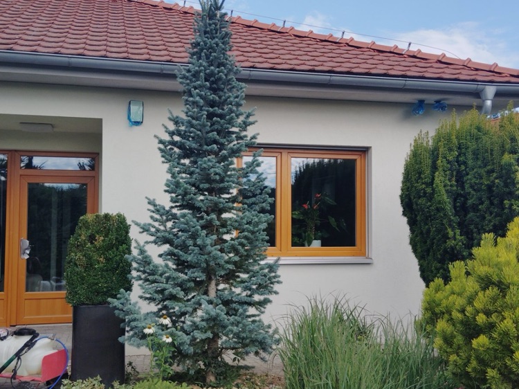 Profesionální vybavení pro Soft Wash — tlaková myčka a nádoba s chemií připravené na terase před čištěním fasády rodinného domu
