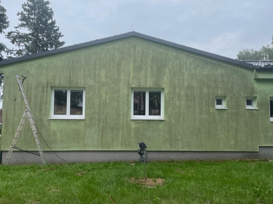 Fasáda rodinného domu se zeleným řasovým povlakem před čištěním