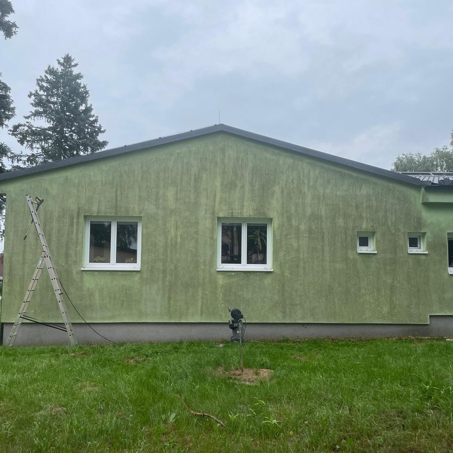 Zelená omítková fasáda přízemního domu se štítem, plošné černozelené řasové mapy po celé ploše stěny