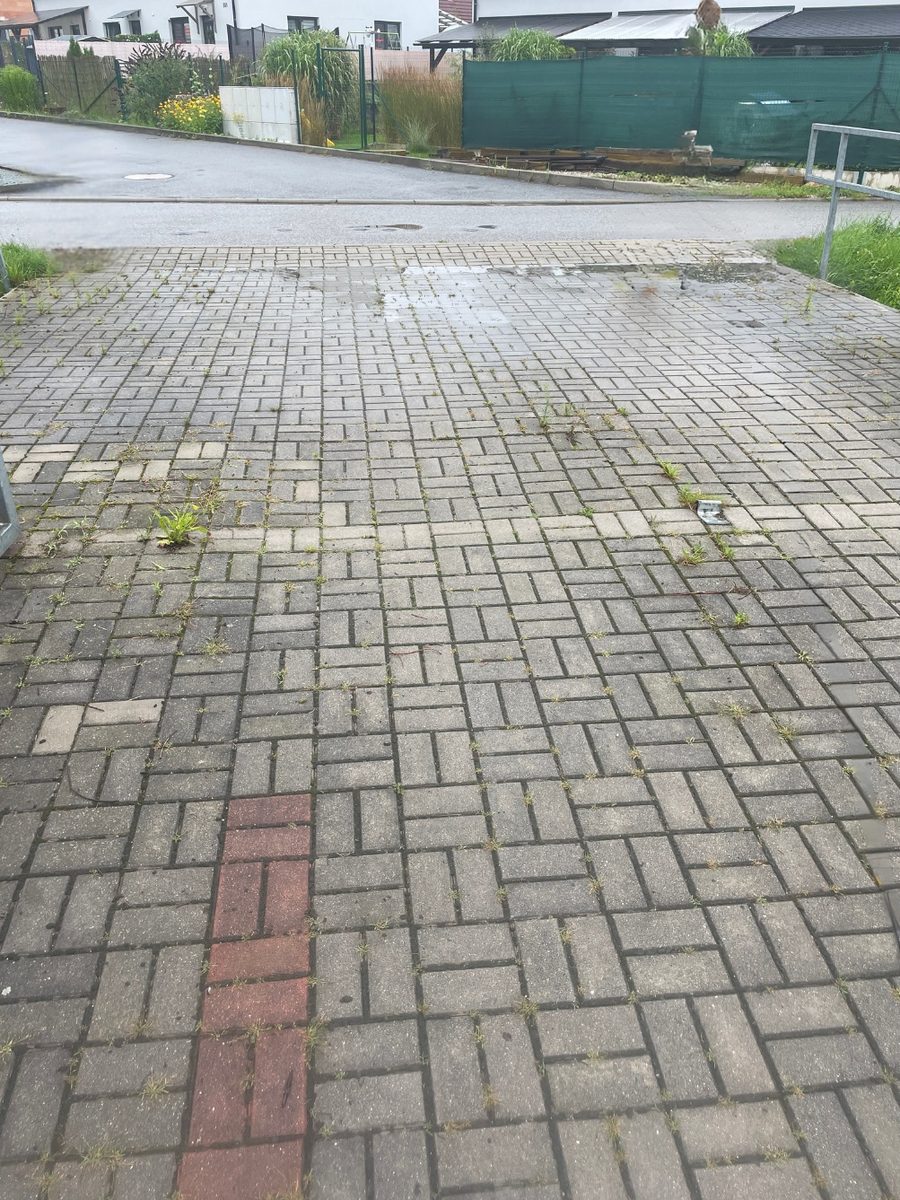 Zámková dlažba příjezdové cesty se zaschlými zelenými nánosy a prorostlým plevelem ve spárách