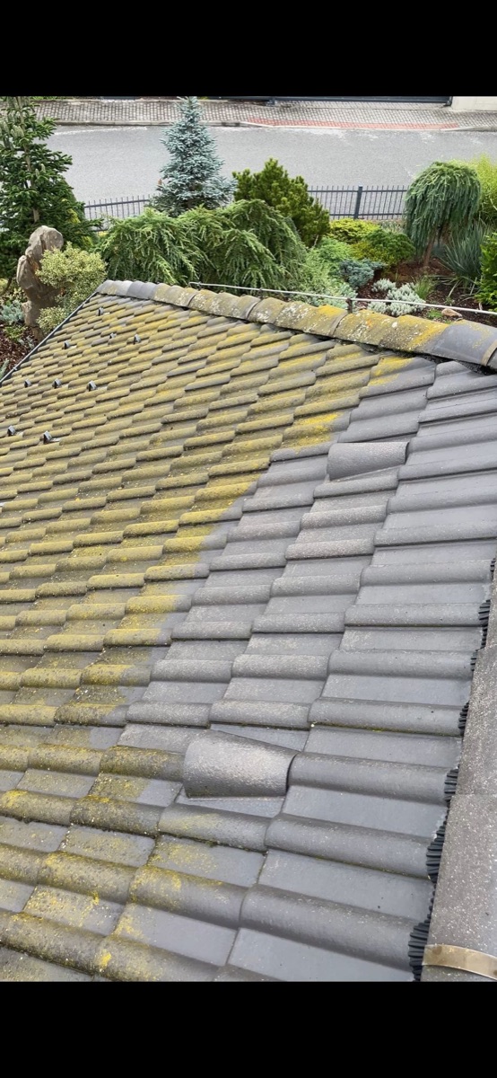 Střecha z betonových tašek rozdělená diagonálně na PŘED se zarostlým mechem a lišejníkem a PO s čistou tmavou krytinou