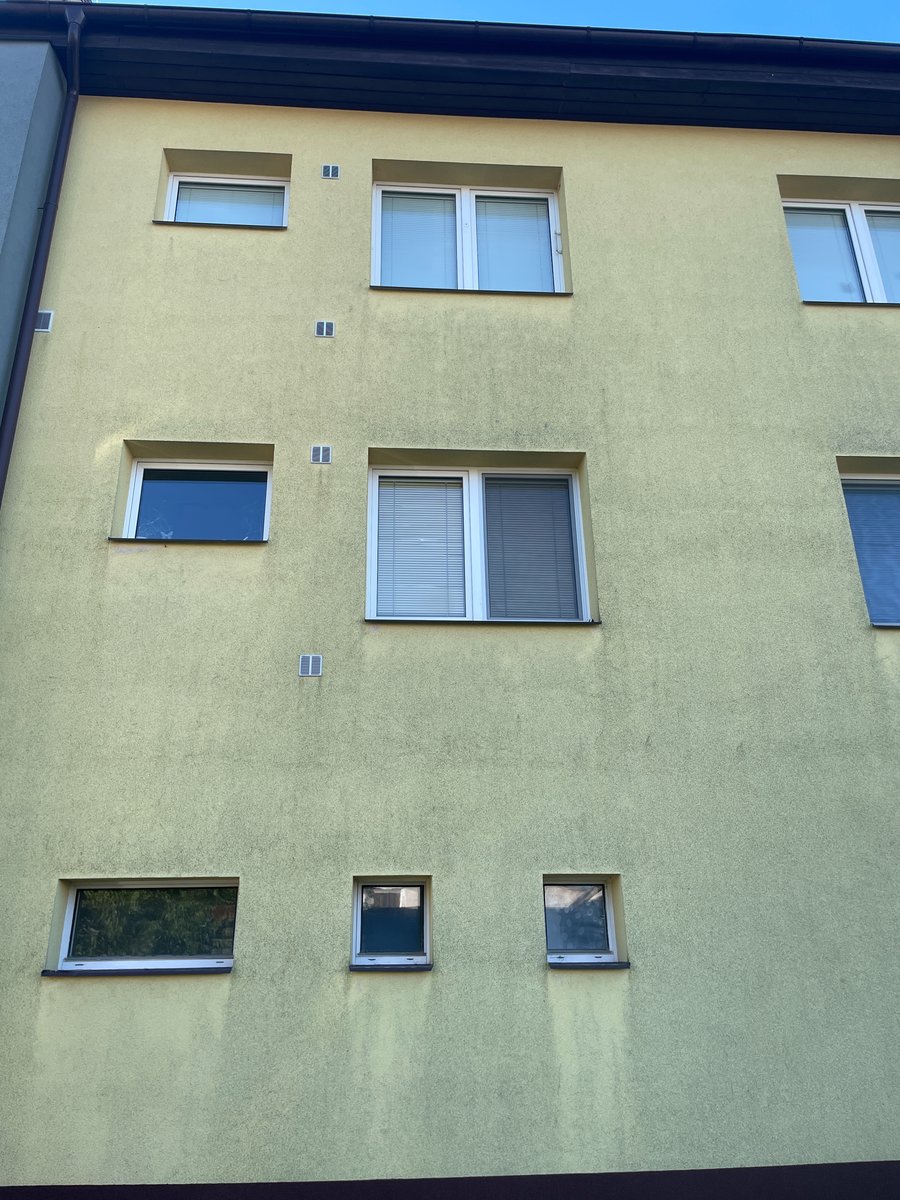 Zašlá žlutá fasáda bytového domu - tmavé stružky řas stékající pod okny