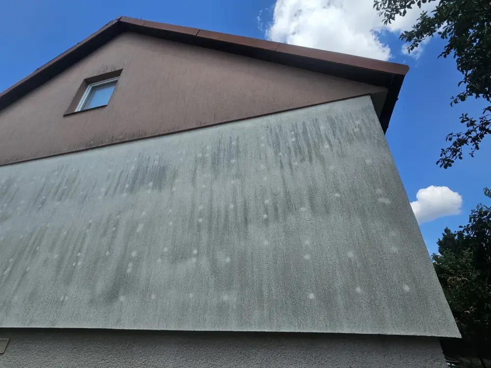 Před čištěním – Květa Tůmová