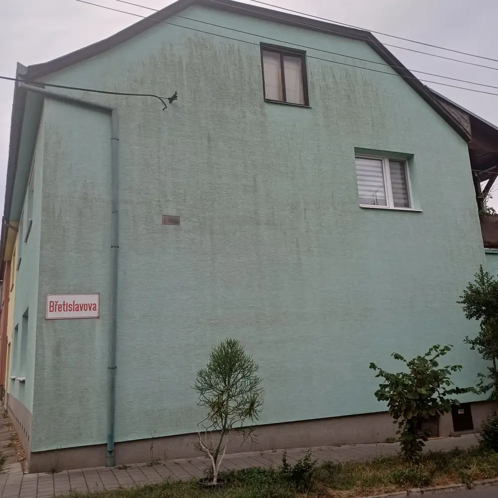Před čištěním – Miluše Viktorinová