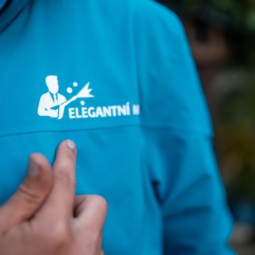 Elegantní mytí logo